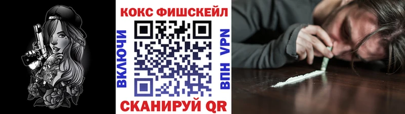Cocaine Fish Scale  Купить закладки  Морозовск 