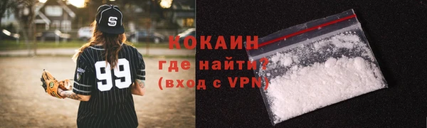 твердый Кулебаки