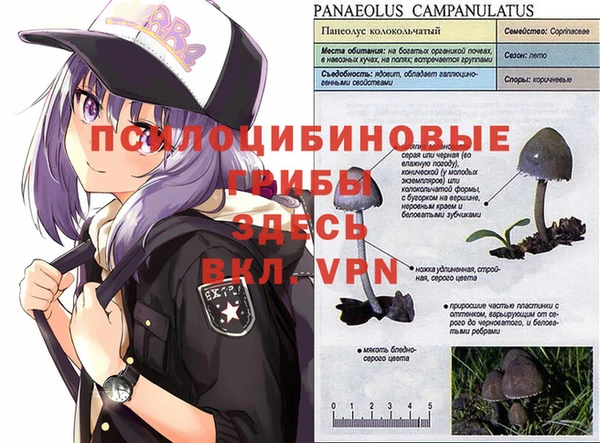 твердый Кулебаки