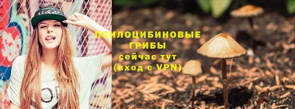 твердый Кулебаки