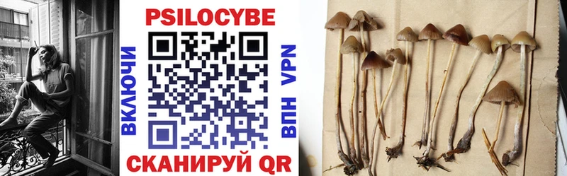 Купить  Морозовск  Псилоцибиновые грибы Cubensis 
